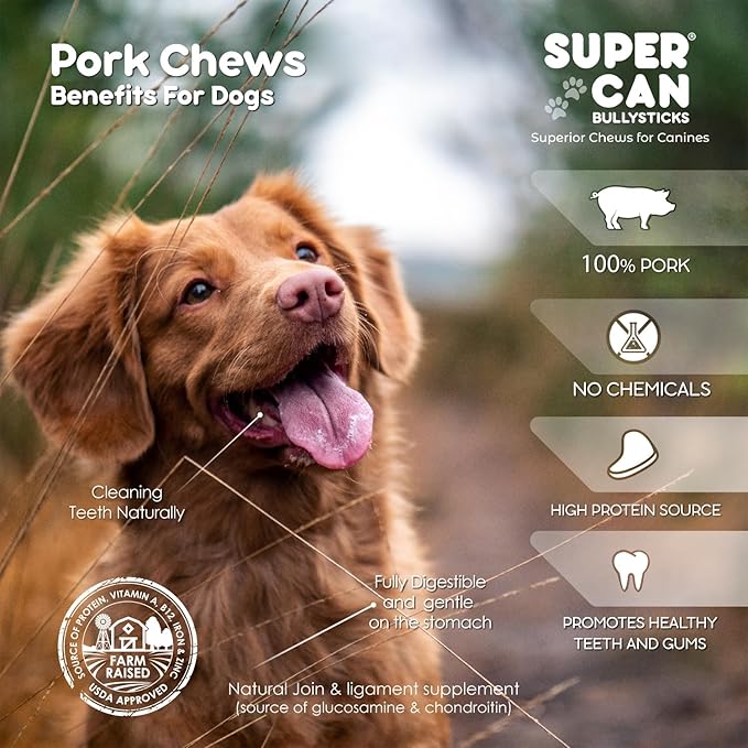 Super Can Pig Ears Slivers for Dogs 1LB - All Natural Dog Chews - Long Lasting Treats Small Medium Large Dogs - Rawhide Free & High Protein - Low Fat, Odor Free, Grain Free - Supports Dental Health