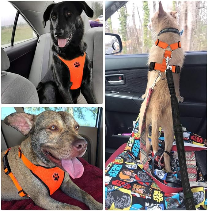 SlowTon Dog Seat Belt Harness for Car, Dog Car Harness Adjustable Mesh Breathable & Dog Seatbelt Safety Tether with Elastic Bungee for Small Medium Large Pets