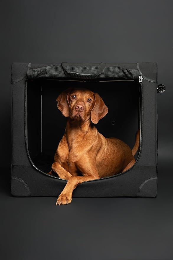 Noah & Paw Collapsible Dog Crate 36 Inches, XL Dog Crate for XL, Large Medium Breed, Travel Kennel for Car, Includes Pet Mat for Pet Cage, 2 Storage Pockets, Handbag, 10mm Locking Zippers 36*25*23
