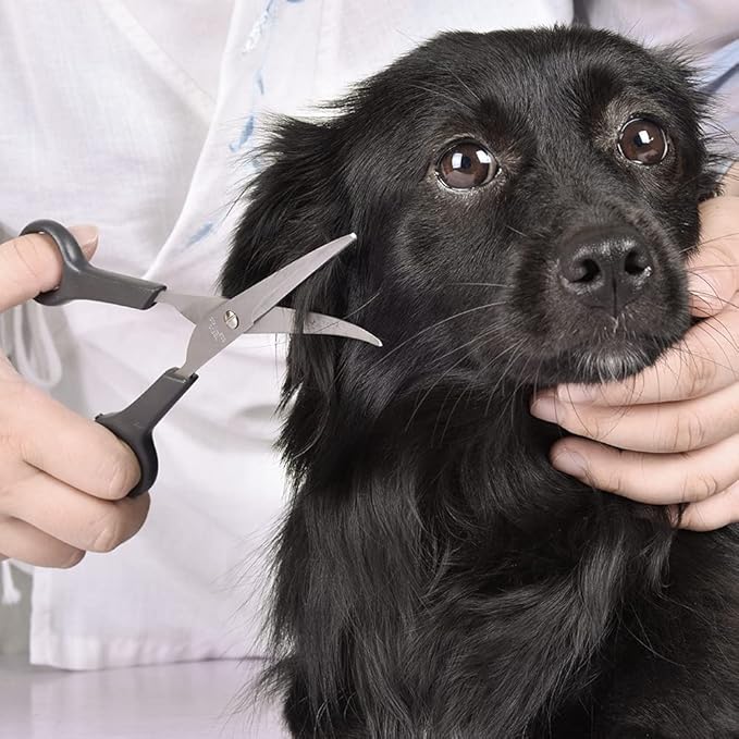 Chibuy Pet Grooming Scissors Set Ball Tip Eye Cut Scissors and Curved Shears, Professional Home Pets grooming Tools Kit for Dogs and Cats 6 Dark Grey