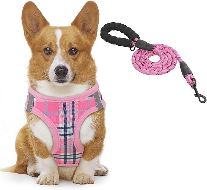 Athena Collection Step-in Dog Harness with 5 ft Leash, Small to Medium Dog Harness Leash Set Medium No Pull Dog Vest Harness with Reflective Strips Adjustable Velcro, Easy Walk Puppy Harness, Pink
