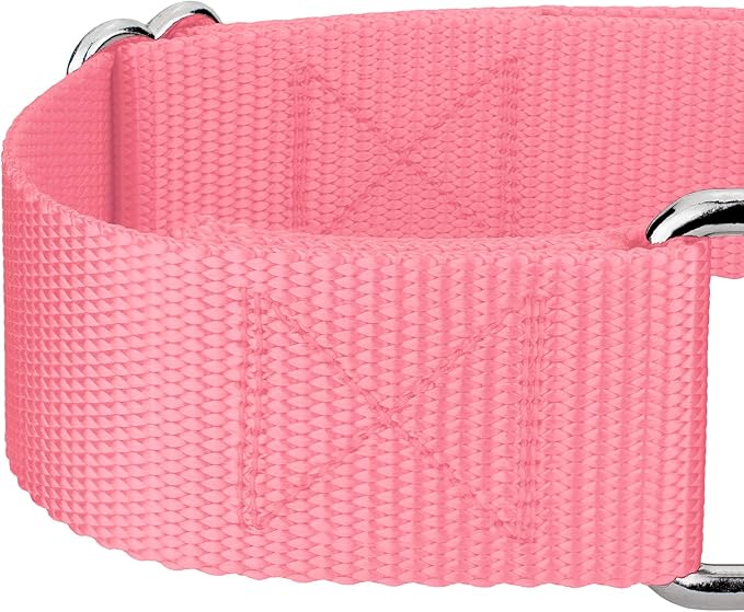 Country Brook Petz 1 1/2 Inch Martingale Heavy Duty Nylon Adjustable Dog Collar for Small, Medium, Large Breeds - Vibrant 17 Color Selection (Pink, Extra Large)