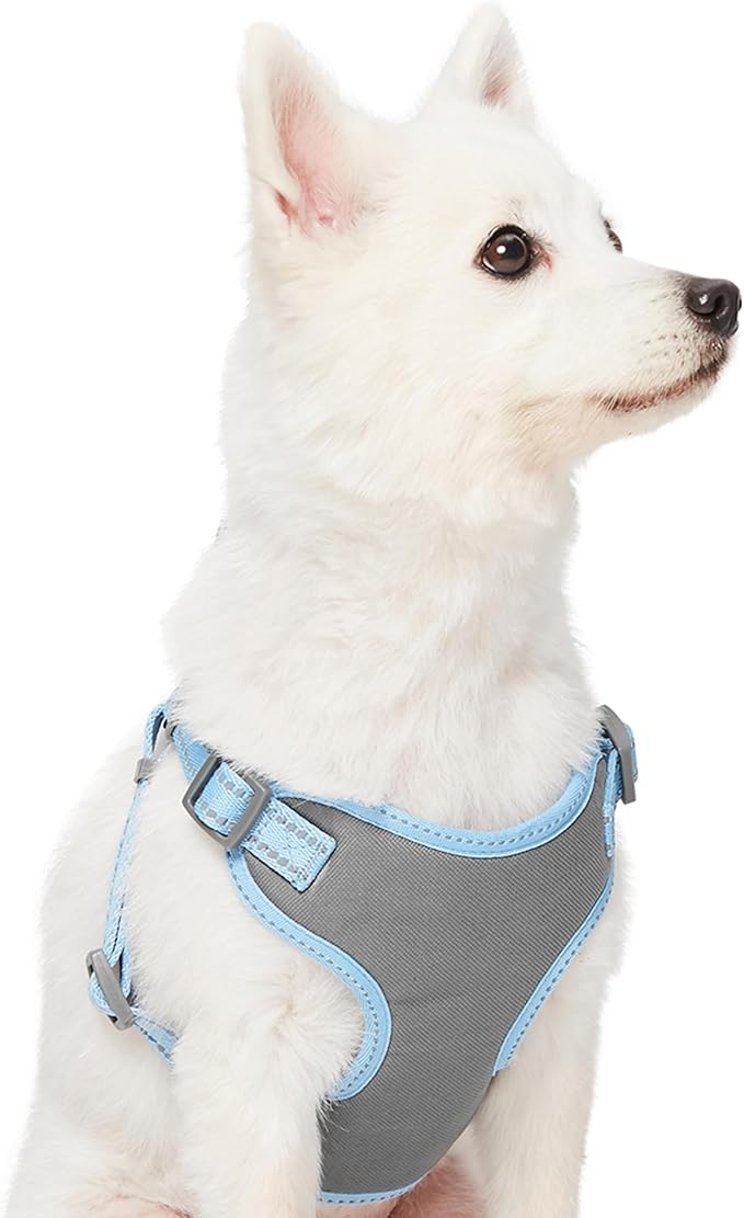 Blueberry Pet Essentials Pastel Color Reflective Dog Harness Vest, Chest Girth 29" - 38.5", Baby Blue, Large, Adjustable Harnesses for Dogs