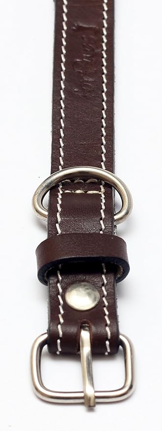 Premium Leather Collars with Stainless Steel Buckles (9"-12", Chocolate)