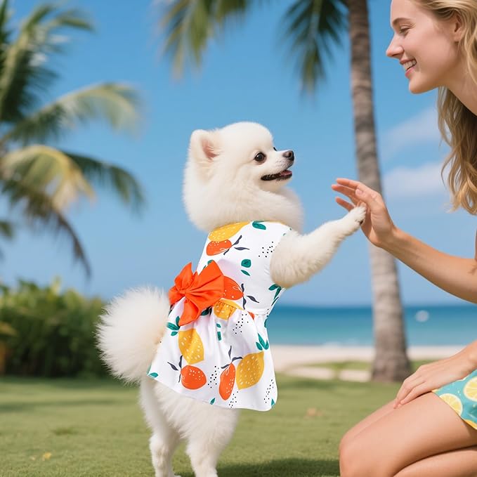 choyaxo Floral Dog Dress Cute Dog Skirt Pet Dress Summer Pet Clothes for Puppy Small Cats