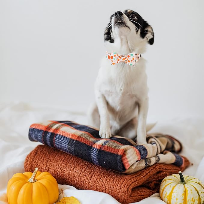 Halloween Dog Collar Bow MR. CHUBBYFACE Adjustable Girl Boy Dog Collar Bow Tie Cute Pumpkin Dog Collar for Small Medium Large Dogs