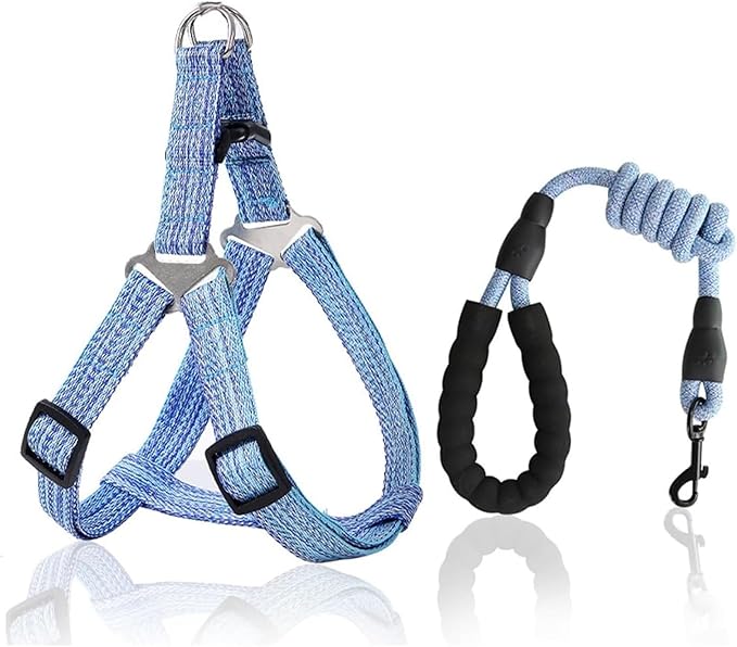 Dog Harness and Leash Set, No Pull Soft Mesh Pet Harness, Adjustable Puppy Vest for Small Medium Large Dogs (Blue, L)