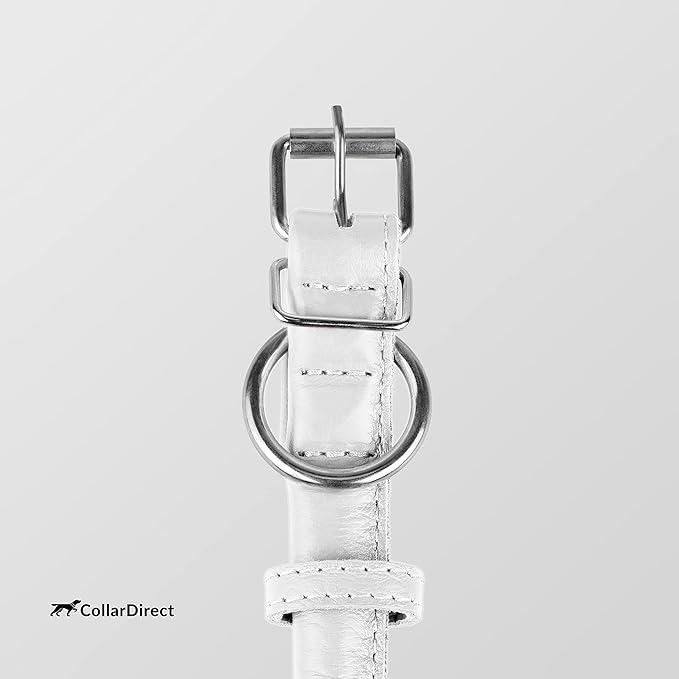 CollarDirect Rolled Leather Dog Collar, Soft Padded Round Puppy Collar, Handmade Genuine Leather Collar Dog Small Large Cat Collars 13 Colors (8-11 Inch, White Textured)