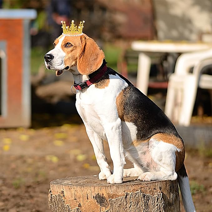 PET SHOW 2pcs Large Dog Crown Headband Sheep Big Pet Hat for Birthday Party Silver Gold Rhinestone Faux Pearl Crown for Boy Girl Wedding Hair Accessories Photo Prop Costume