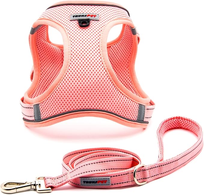 Dog Harness and Leash Set, Step in no Pull Dog Harness Adjustable Reflective Padded Mesh Fabric Dog Vest for Extra-Small/Small Medium Dogs and Cats-XS-Pink