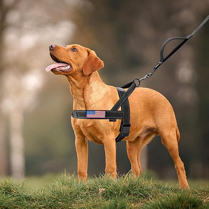 Annchwool No Pull Dog Harness with Soft Padded Handle,Reflective Strip Escape Proof and Quick Fit to Adjust Dog Harness,Easy for Training Walking for Small & Medium and Large Dog(Black,S)