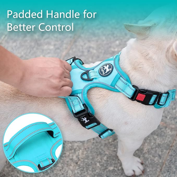 PoyPet No Pull Dog Harness, No Choke Reflective Dog Vest, Adjustable Pet Harnesses with Easy Control Padded Handle for Small Medium Large Dogs(Mint Blue Matching Trim,M)