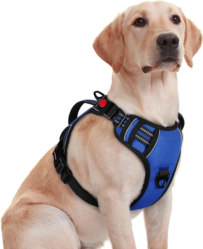 rabbitgoo Dog Harness for Large Dogs, No Pull Pet Harness with Soft Padded Handle, Adjustable Reflective Vest with 3 Buckles, Easy Walking Harness with 2 Leash Clips, Blue, M