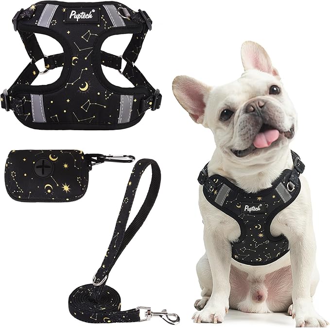 PUPTECK No Pull Dog Harness and Leash Set Reflective No Choke Step in Puppy Halter for XS Small and Medium Sized Dogs, Black, Printed Fabric, M
