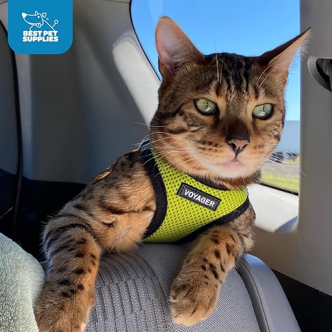 Voyager Step-in Air Dog Harness - All Weather Mesh, Reflective, No Pull Harness for Small, Medium Dogs, Cats - Secure with Hook & Loop Fastener, Buckle, Double D-Rings - Lime Green/Black Trim, XS