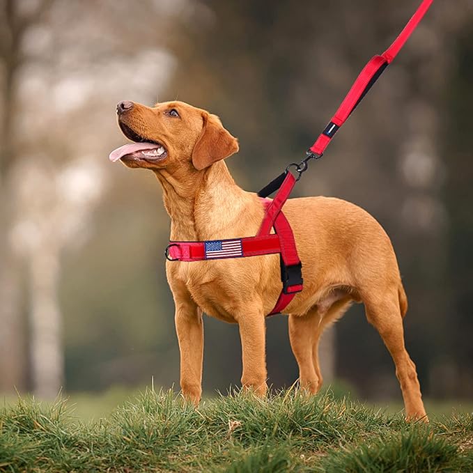 Annchwool No Pull Dog Harness with Soft Padded Handle,Reflective Strip Escape Proof and Quick Fit to Adjust Dog Harness,Easy for Training Walking for Small & Medium and Large Dog(Red,S)