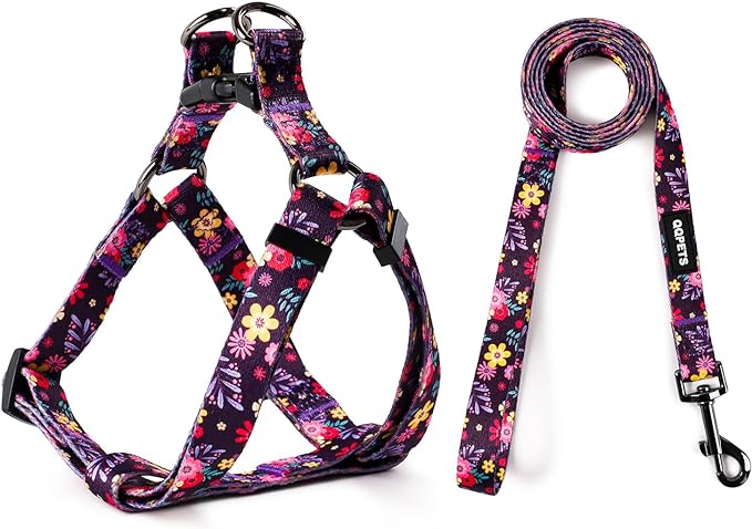 QQPETS Dog Harness Leash Set Adjustable Heavy Duty No Pull Halter Harnesses for Small Medium Large Breed Dogs Back Clip Anti-Twist Perfect for Walking