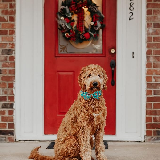 MR. CHUBBYFACE Thanksgiving Dog Collar Fall Maple and Turkey Dog Collar with Bow Adjustable Dog Collar Bowtie for Small Medium Large Dogs