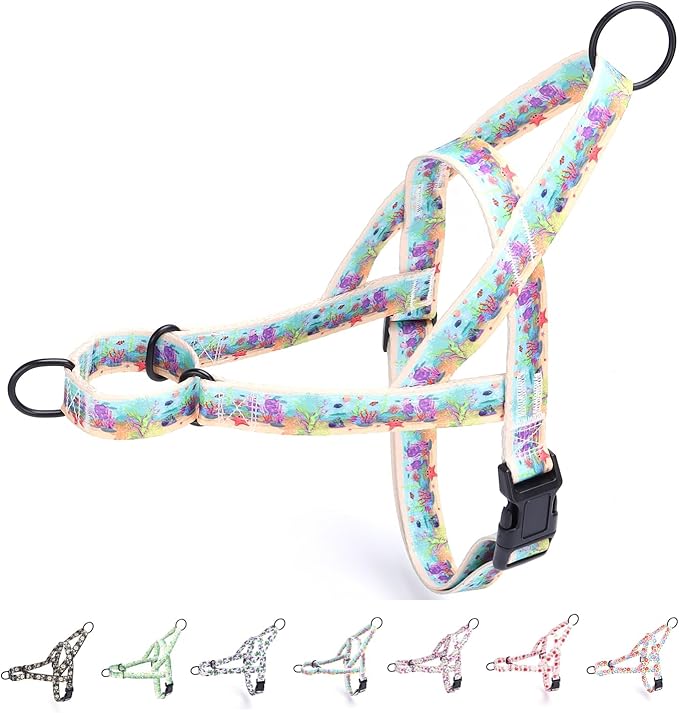 No Pull Dog Harness for Small, Medium, and Large Pets - Floral Pattern Nylon Safety Training Dog Harness (XS, Ocean)