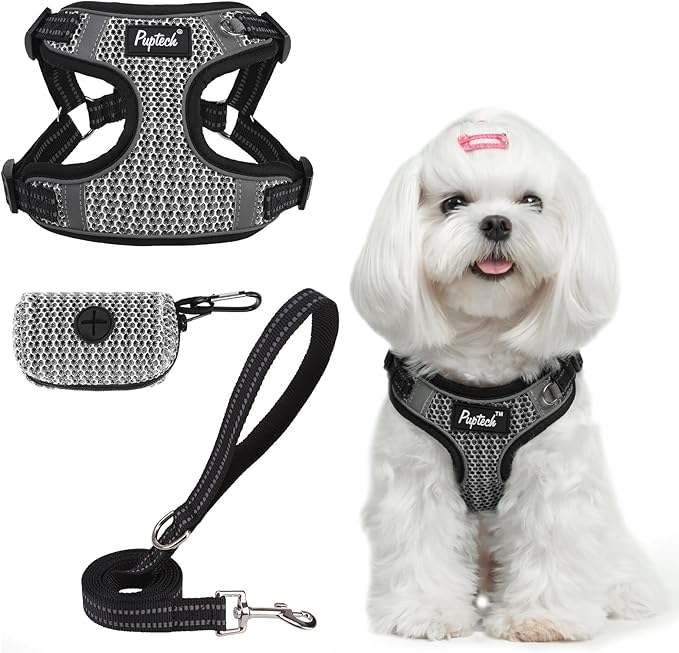 PUPTECK No Pull Dog Harness and Leash Set Reflective No Choke Step in Puppy Halter for XS Small and Medium Sized Dogs, Grey, Breathable Mesh, S