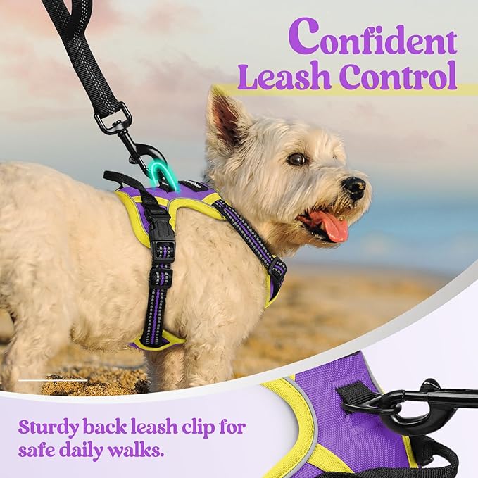 rabbitgoo Dog Harness, No-Pull Pet Harness with 2 Leash Clips, Adjustable Soft Padded Dog Vest, Reflective No-Choke Pet Oxford Vest with Easy Control Handle for Large Dogs, Purple & Yellow, XS