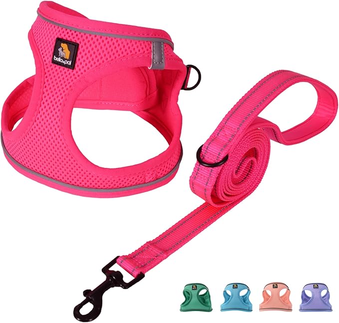 BELLA & PAL Puppy Harness with Leash Set, Dog Harness for Small Dogs No Pull, Dog Leash for Small Dogs, Step in Harness for Extra Small Dogs, Hot Pink Harness, XS