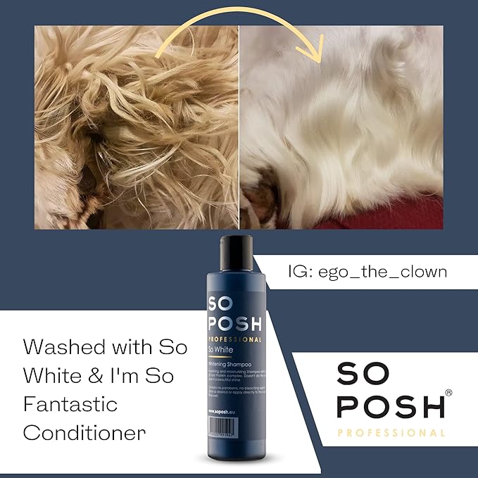 So White Dog Shampoo - with Coconut Oil, Brightens White Coats, Moisturizing & Nourishing, Sulfate, Ammonia & Paraben Free. 8.4 Oz