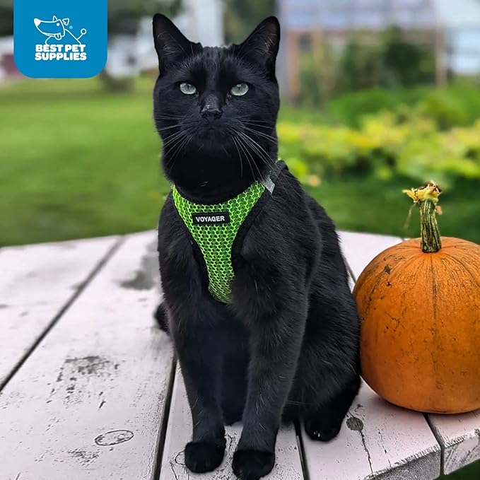 Voyager Step-in Air Dog Harness - All Weather Mesh, Reflective, No Pull Harness for Small, Medium Dogs, Cats - Secure with Hook & Loop Fastener, Buckle, Double D-Rings - Lime Green 2-Tone, XS