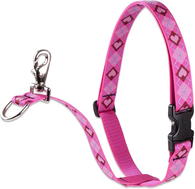 LupinePet Originals 3/4" Puppy Love 16-26" No Pull Harness for Small-Medium Dogs
