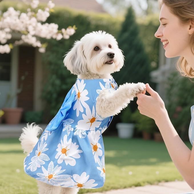 choyaxo Floral Dog Dress Cute Dog Skirt Pet Dress Summer Pet Clothes for Puppy Small Cats