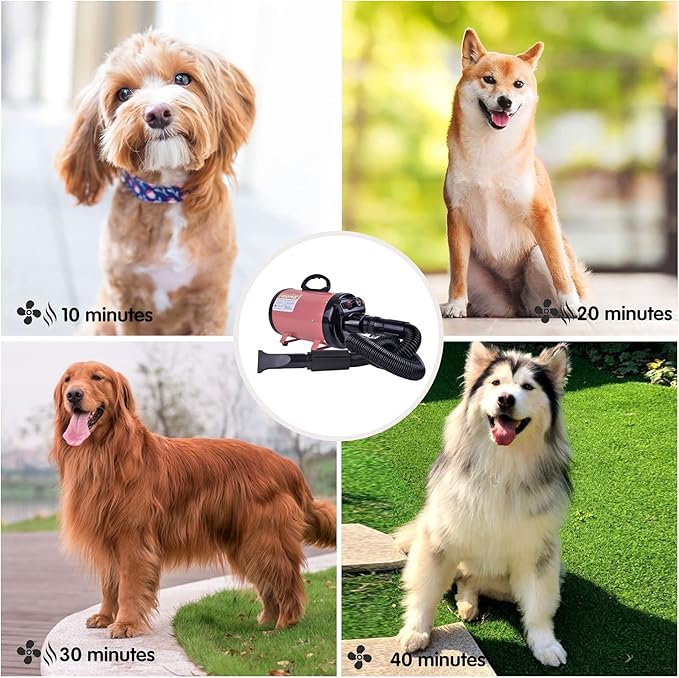 Dog Dryer, High Velocity Dog Hair Dryer, Dog Blow Dryer - Groomer Partner Pet Blower Grooming Force Dryer with Heater, Stepless Adjustable Speed, 4 Different Nozzles, Comb & Pet Grooming Glove (Pink)