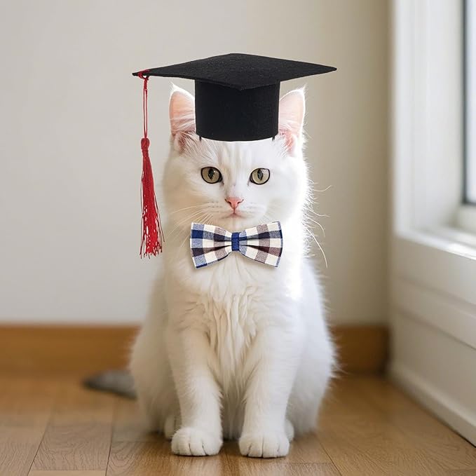 Pet Graduation Cap with Bowtie Collar Set, Small Dogs Cats Graduation Outfits Party Dress Costume Accessory (Gray)