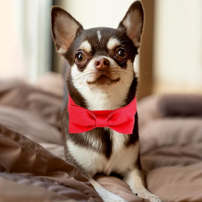 Segarty Dog Bow Ties for Small Medium Dogs, Adjustable Red Bowtie Collar, Durable Cat Neck Tie Tuxedo Comfortable Cotton Girl Pets Grooming Accessories for Formal Wedding Holiday Birthday Valentines