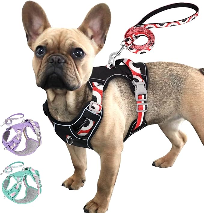 No Pull Dog Harness and Leash Set,Reflective Dog Harness with Easy Control Soft Handle, Adjustable and Comfortable for Easy Walking,Fit Small Medium Large Breed Dogs,Black,L