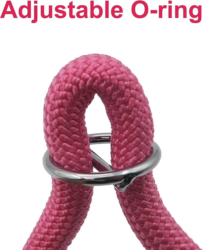 Braided Rope Collar, Pro Training Dog Collar, No Pull Round Martingale Collar, Slip Collar with Slidable Stop Ring - Ideal for Small Dogs (S(1/3") - 16" Long, Pink)