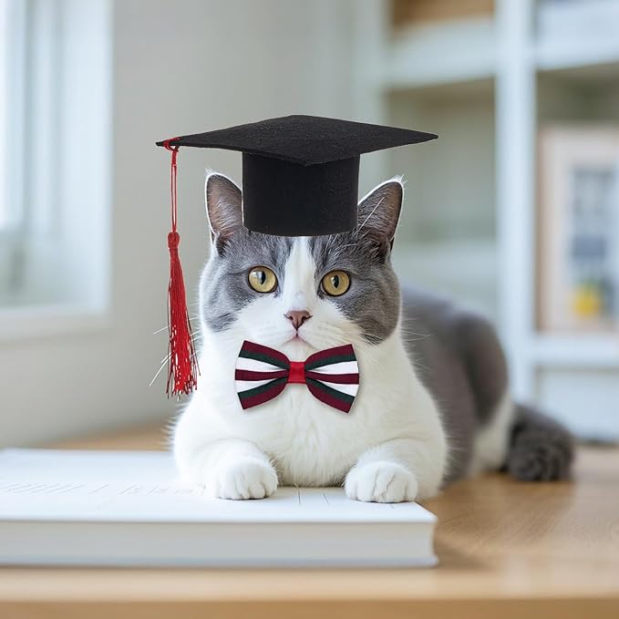 Pet Graduation Cap with Bowtie Collar Set, Small Dogs Cats Graduation Outfits Party Dress Costume Accessory (Striped Red)