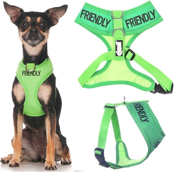 Friendly (Known as Friendly to All) Green Colour Coded Non-Pull Front and Back D Ring Padded and Waterproof Vest Dog Harness Prevents Accidents by Warning Others of Your Dog in Advance (XS)