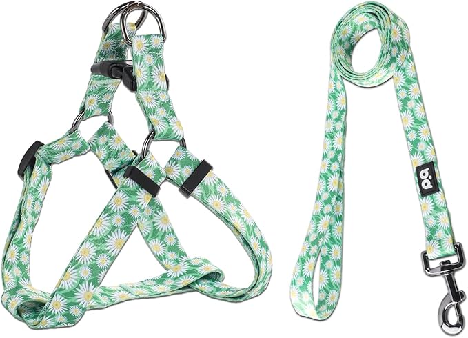 QQPETS Dog Harness Leash Set Adjustable Heavy Duty No Pull Halter Harnesses for Small Medium Large Breed Dogs Back Clip Anti-Twist Perfect for Walking