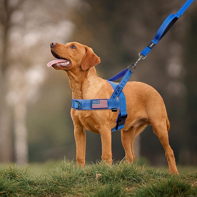 Annchwool No Pull Dog Harness with Soft Padded Handle,Reflective Strip Escape Proof and Quick Fit to Adjust Dog Harness,Easy for Training Walking for Small & Medium and Large Dog(Blue,M)
