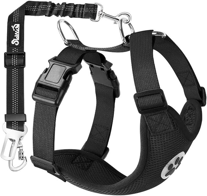 Lukovee Dog Seat Belt for Car, Adjustable Dog Car Harness for Large Medium Small Dogs, Soft Padded & Breathable Mesh Dog Seatbelt with Car Strap and Carabiner(Black Double Clip,Medium)