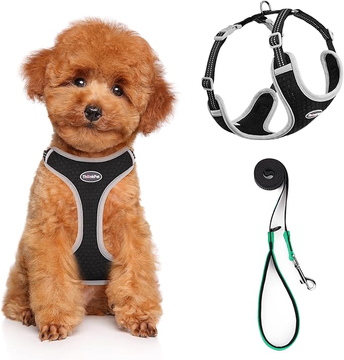 ThinkPet Harness and Leash Set Reflective Breathable Soft Air Mesh No Pull Puppy Choke Free Over Head Vest Ventilation Harness with Leash for Puppy Small Medium Dogs and Cats