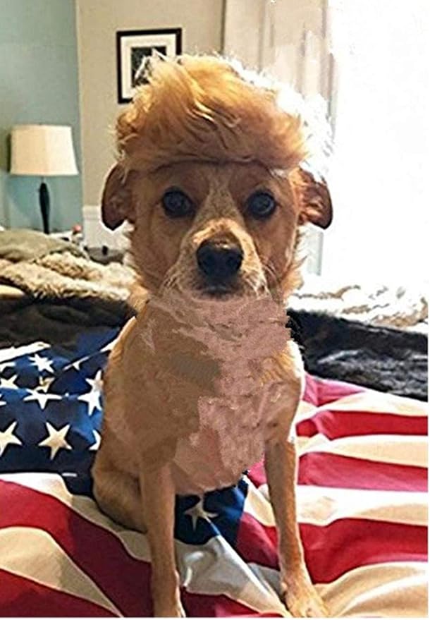 Donald Trump Style Pet Costume Dog Wig, Dog Clothes with Collar & Tie Head Wear Apparel Toy for Halloween, Christmas, Parties, Festivals (Brown Without Tie)