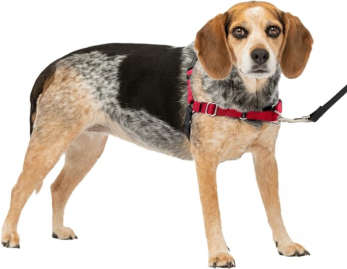 PetSafe Easy Walk No-Pull Dog Harness - The Ultimate Harness to Help Stop Pulling - Take Control & Teach Better Leash Manners - Helps Prevent Pets Pulling on Walks, Small/Medium, Red/Black