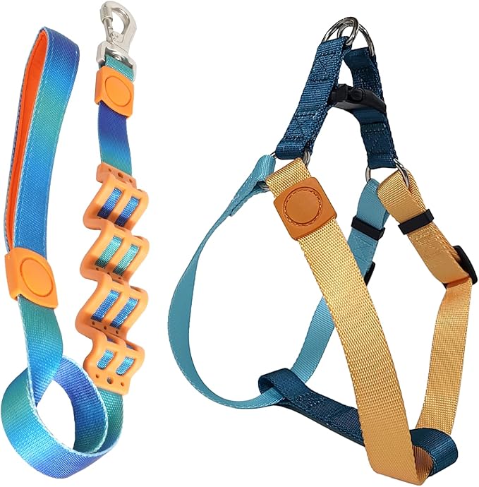 Tri-Color Dog Harness and Purple Pink Gradient Shock Absorbing Dog Leash Set,Step-in Freedom Dog Vest Harness,Strong Padded Handle to Help Stop Pulling for Small Dog Walking and Traning