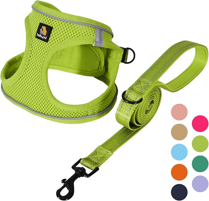 BELLA & PAL Puppy Harness with Leash Set, Dog Harness for Small Dogs No Pull, Dog Leash for Small Dogs, Step in Harness for Extra Small Dogs, Avocado Green Harness, XXS