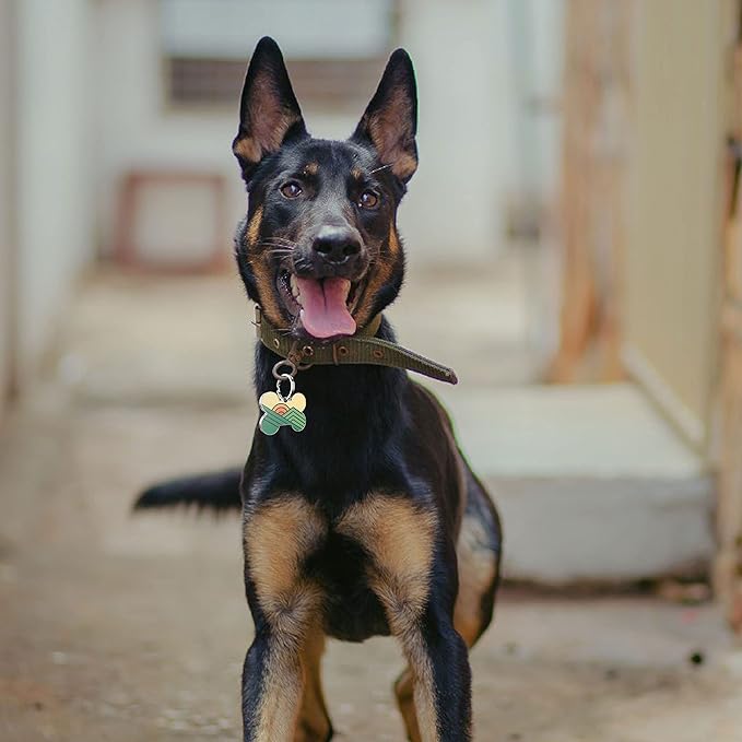 QR Code Dog Tag,Dog Tags Personalized for Pets, Custom Dog Name ID Tags Personalized Dog and Cat Tags -Free Online&Scan QR Receive Instant Location Alert Email