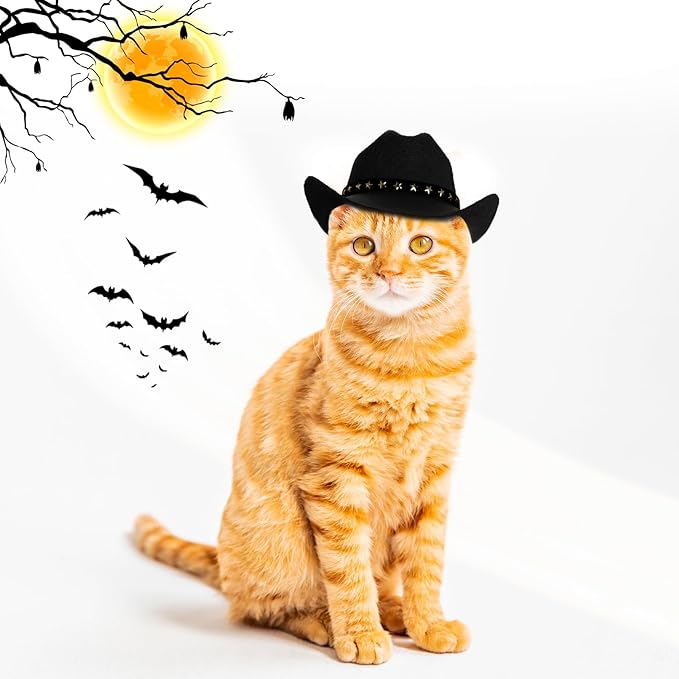 choyaxo Pet Cowboy Costume Cosplay Cap Halloween Costumes for Dogs Cat Pet Party Decoration Mini Cowboy Hat (Black, Small)