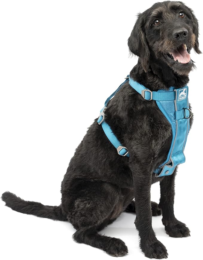Kurgo Tru-Fit Smart Harness, Dog Harness, Pet Walking Harness, Quick Release Buckles, Front D-Ring for No Pull Training, Includes Dog Seat Belt Tether (Blue, Large)