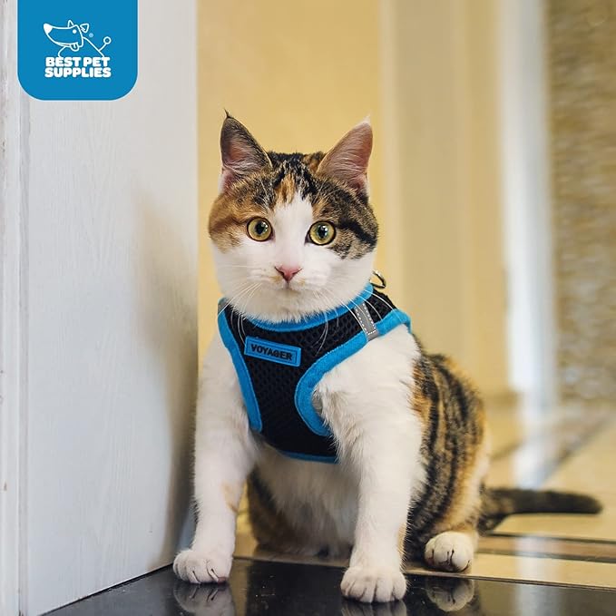 Voyager Step-in Air Dog Harness - All Weather Mesh, Reflective, No Pull Harness for Small, Medium Dogs, Cats - Secure with Hook & Loop Fastener, Buckle, Double D-Rings - Black/Blue Trim, XS