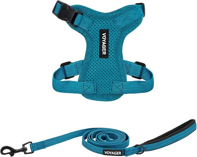 Voyager Step-in Lock Adjustable Cat Harness w. Cat Leash Combo Set with Neoprene Handle 5ft - Supports Small, Medium and Large Breed Cats by Best Pet Supplies - Turquoise, XXS